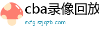 cba录像回放